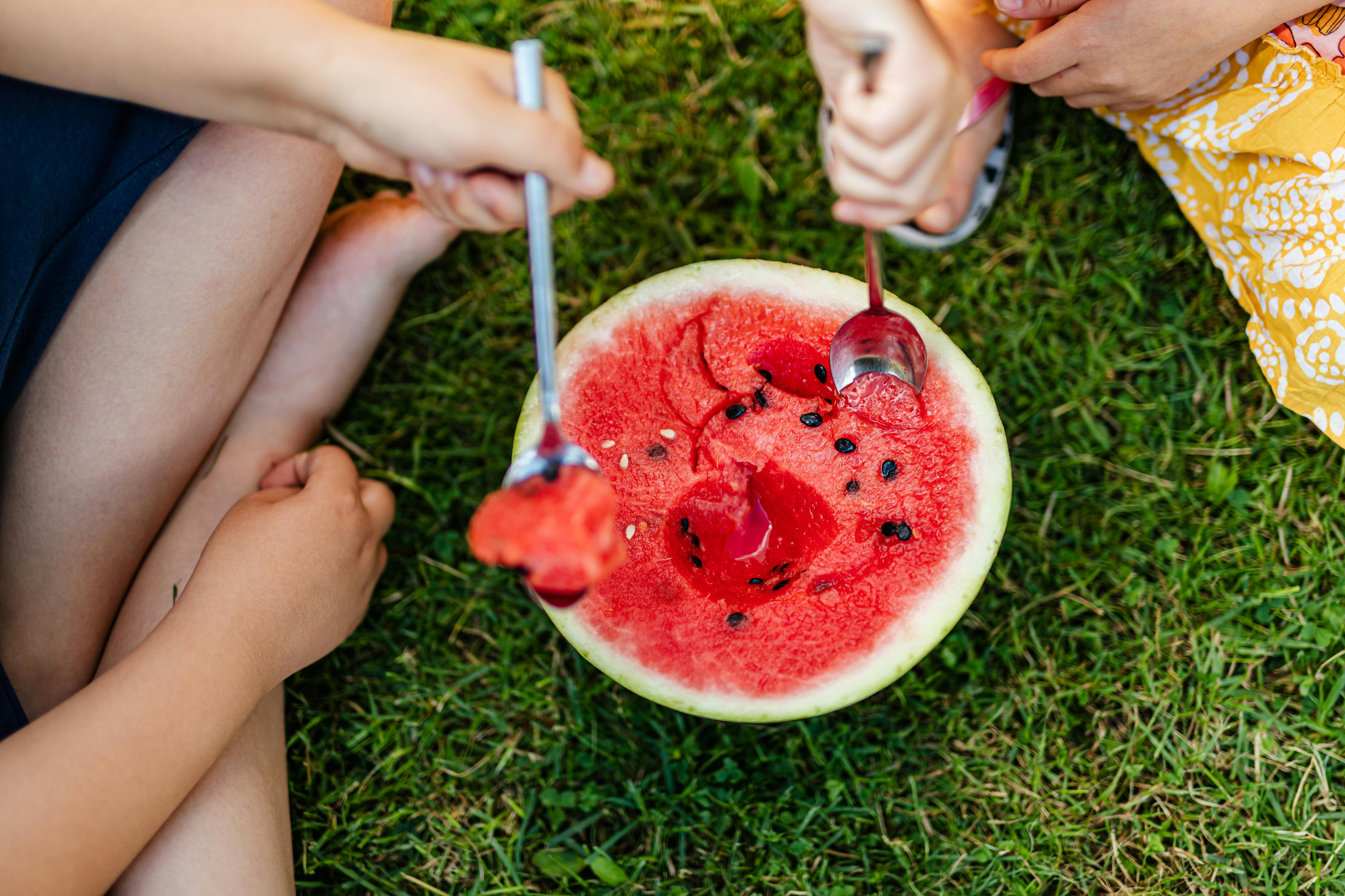 Kids enjoying Charleston Gray watermelon on the grass kids sitting on grass and eating Charleston Gray Watermelon