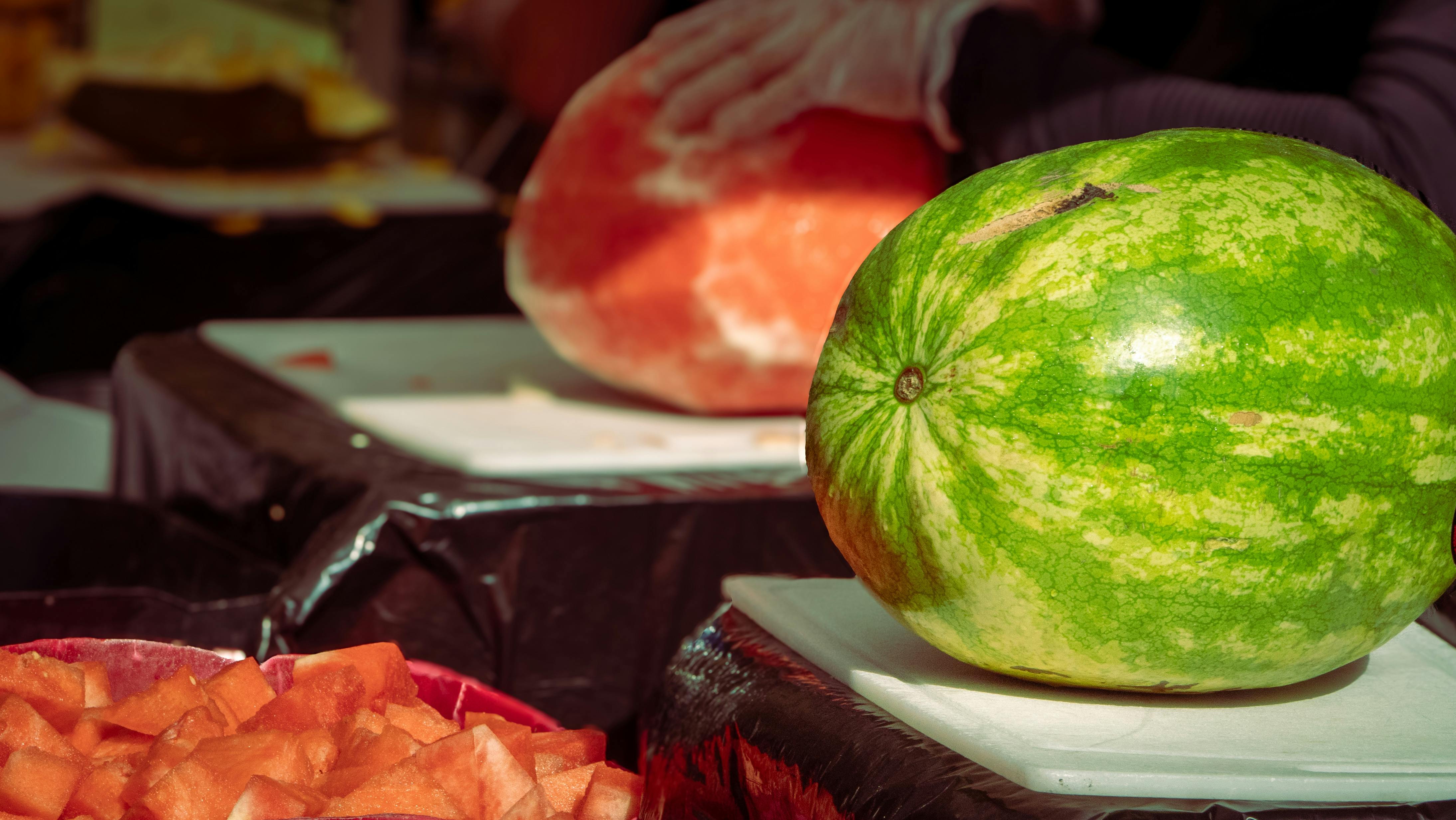 Growing Charleston Gray Watermelon in the garden Fresh Charleston Gray Watermelon ready for slicing outdoors